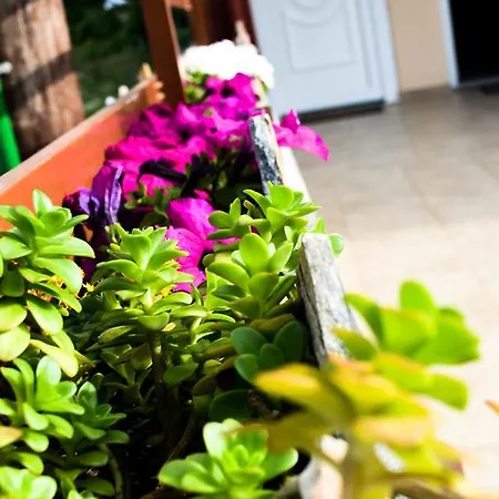 Appartamento Antigone View